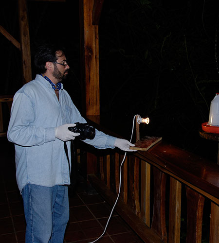 Fotografiando murciélagos en la Reserva Buenaventura, en Ecuador.