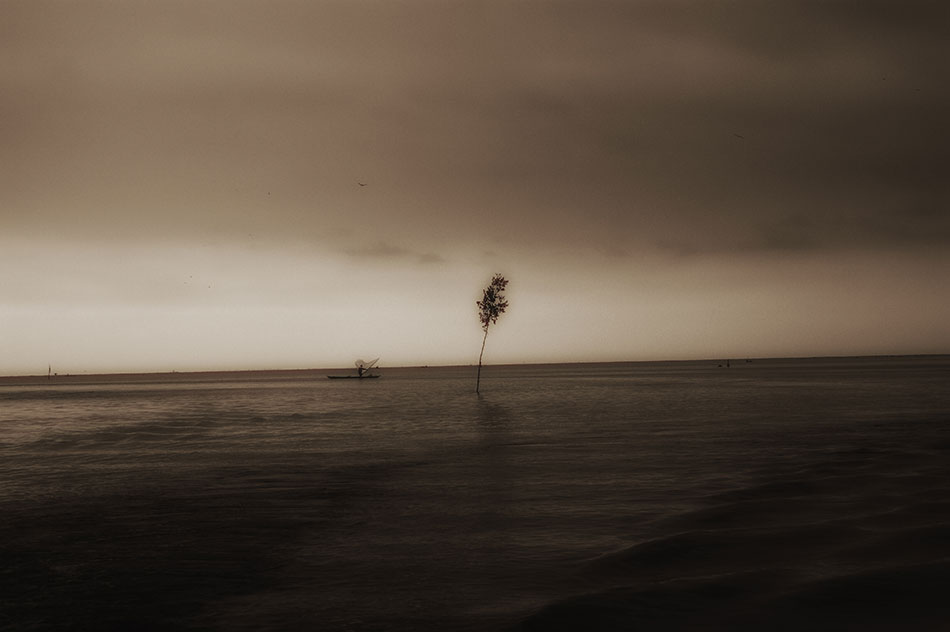 El pescador y el árbol.  Isla Puná, Ecuador.